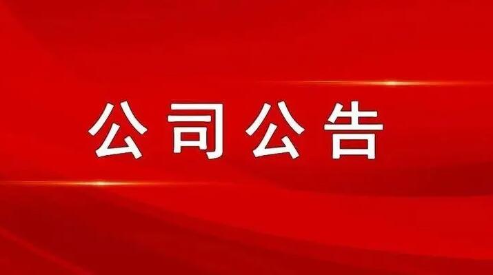 湖北泰龙互联通信股份有限公司2022 年第二次临时股东大会决议公告