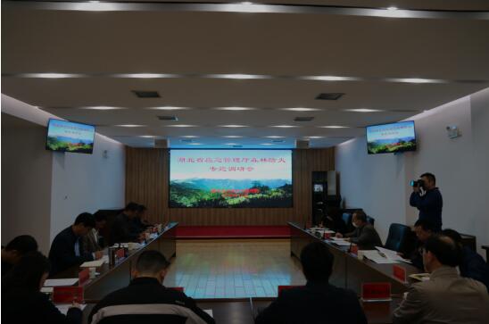 湖北省应急管理厅陈年山副厅长一行莅临我司九峰项目考察和调研